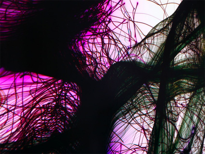 2010-06-22-8-6-small