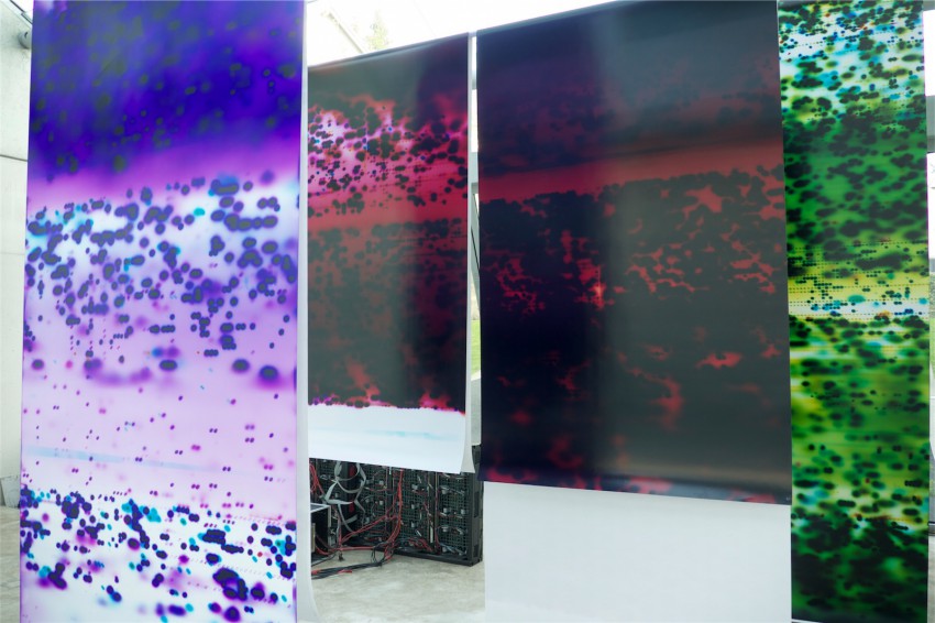 Photonuclear4
