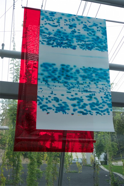 Photonuclear5
