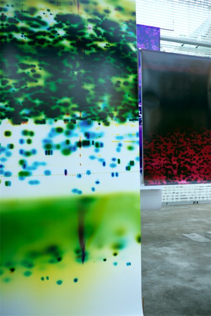Photonuclear7